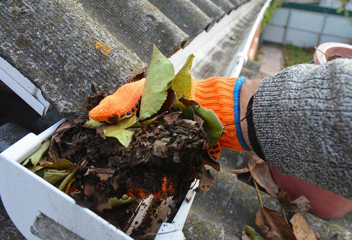 Gutter Cleaning