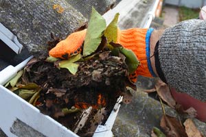 Rain Gutter Cleaning